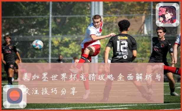 美加墨世界杯竞猜攻略全面解析与投注技巧分享